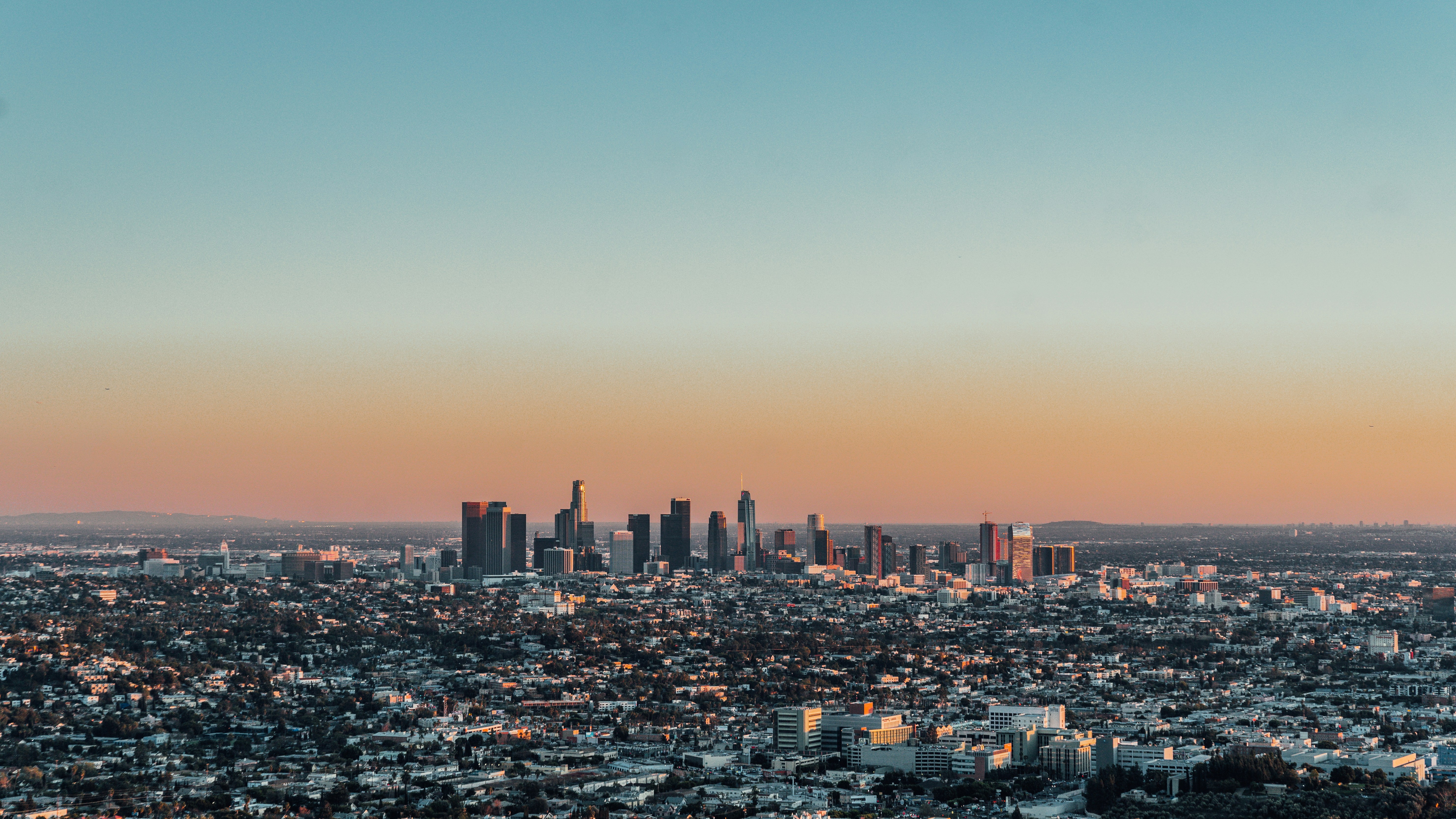 Website project planning and pricing discussion for a Los Angeles business site